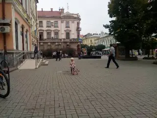 Івано-Франківська обласна стоматологічна поліклініка — фото 2