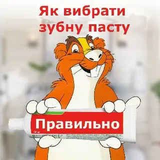Володимир Настоящий — фото 5