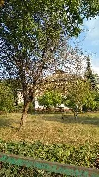 Міська поліклініка №4 — фото 3