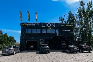 Lion Hub Автокомплекс — фото