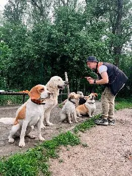 Dog care /школа тренувань, зооготель, грумінг, кінолог, зоомагазин в Івано-Франківську — фото 4