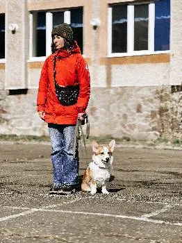 Dog care /школа тренувань, зооготель, грумінг, кінолог, зоомагазин в Івано-Франківську — фото 5