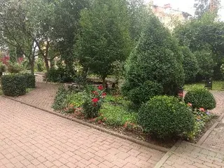 Юридичний інститут ПНУ — фото 4