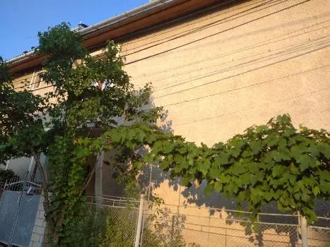початкова — фото 2