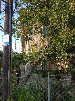 початкова — фото 3