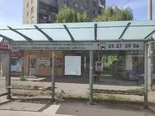Перукарня "Любисток" — фото 4