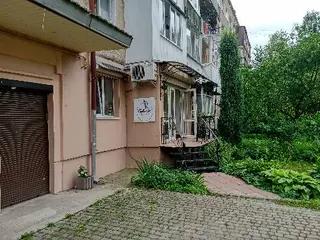 ЛІДІЇ ЖУКОВСЬКОЇ — фото