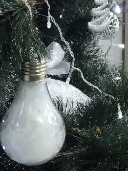 М'ята — фото