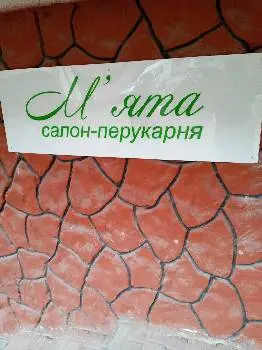 М'ята — фото 3