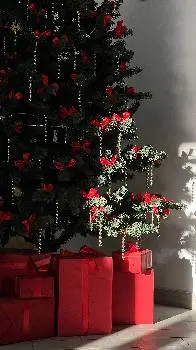 Студія краси МАНІК — фото 5