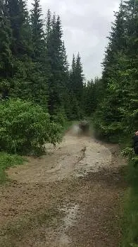 Прокат квадроциклів Яремче - ATV Racing — фото 3