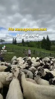 Прокат Квадроциклів Поляниця Буковель. Подорожі на квдароциклах. Квадротури — фото 2