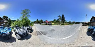 Карпатська рись — фото 3