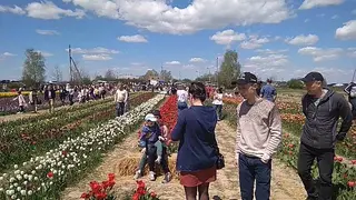 "Компас-тур" — фото 2