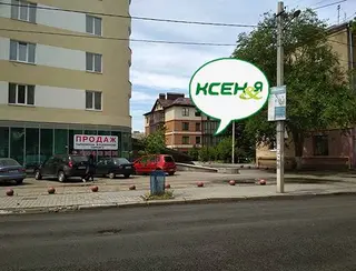 Ксенія - заправка картриджів, ремонт принтерів та БФП — фото 4