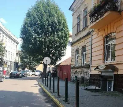 Адвокат, Ткачишин Світлана Миколаївна — фото 3