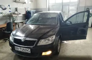 RN-Tuning Чіп-тюнінг, видалення ЕГР,сажевих фільтрів — фото