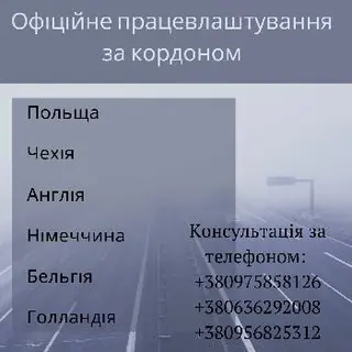 Візово-інформаційний центр "ВізиР" — фото