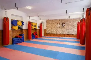 Кіокушинкай Карате — фото 2