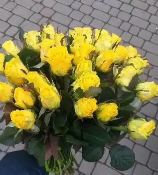 Квіти Івано-Франківська — фото 2