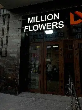 Million Flowers | Мільйон Квітів — фото