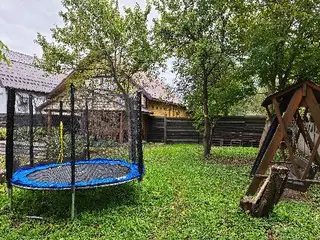 Роса — фото 2
