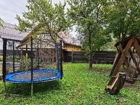 Роса — фото 2