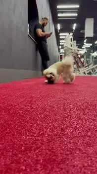 Soul Gym — фото 2