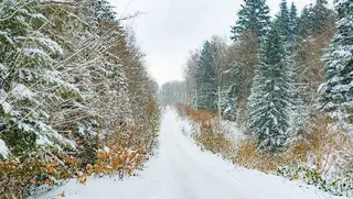 Локація Ценжів Era pb — фото 2