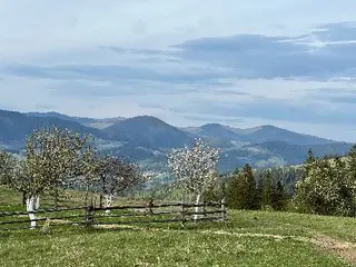 Скита Рафтинг, рафтинг тури на Черемоші й Пруті — фото 5