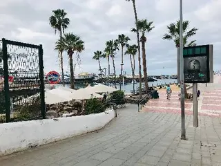 Lafa Travel, туристична компанія — фото