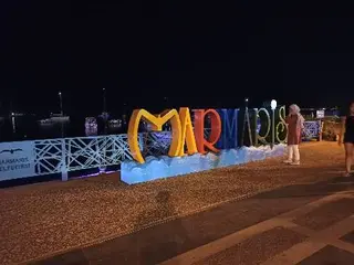 Ніколас тур — фото 5