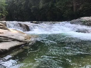 Туристична агенція "Гуцульські Карпати" — фото