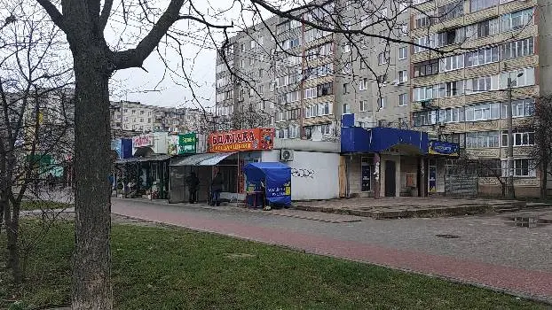 Бджілка — фото 2