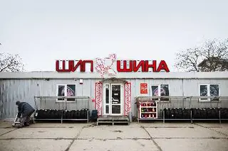 Шипшина — фото 4