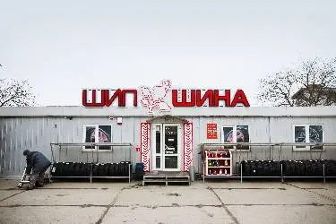 Шипшина — фото 4