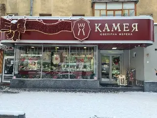 Ювелірна мережа КАМЕЯ — фото 3