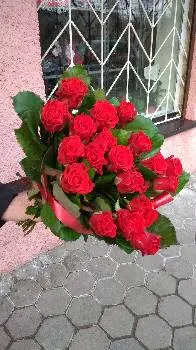 Квіти - цілий рік — фото 2