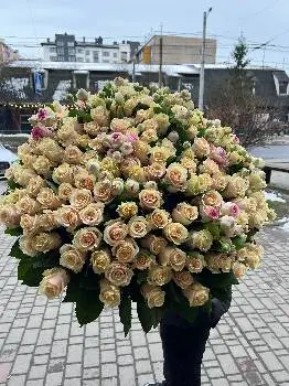 Квіти, Фієста — фото 5