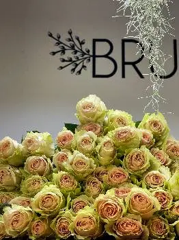 Brunka квіткова крамниця — фото 2