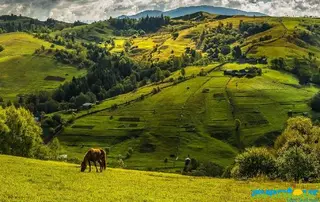 Туроператор АВЕН-ТУР — фото