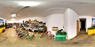 Гуртівня Флора — фото