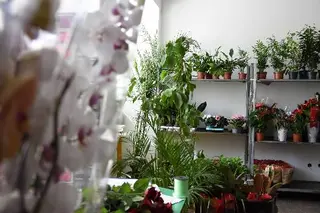 Гуртівня Флора — фото 2