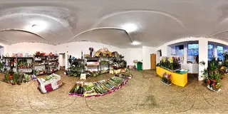 Гуртівня Флора — фото 4