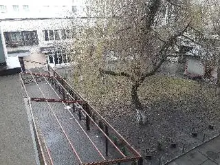 Телеателье — фото