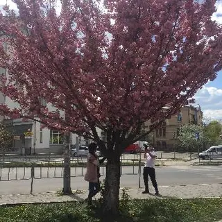 ОТП Банк, регіональне відділення м. Івано-Франківськ — фото 3