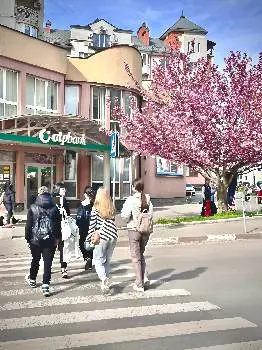 ОТП Банк, регіональне відділення м. Івано-Франківськ — фото 4