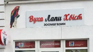 Вуха Лапи Хвіст — фото
