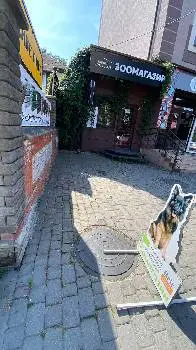 Зоомагазин Amigo_cat.dog — фото 5