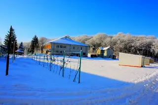 Санаторій "Барвінок" — фото 4